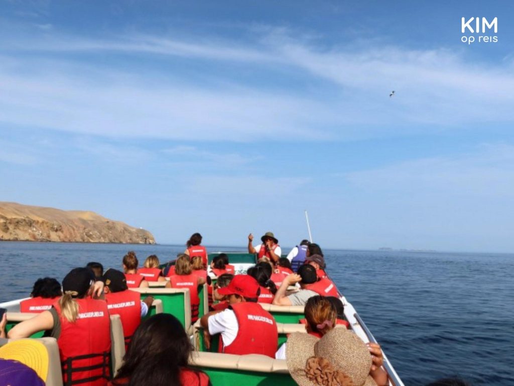 Boot Islas Ballestas