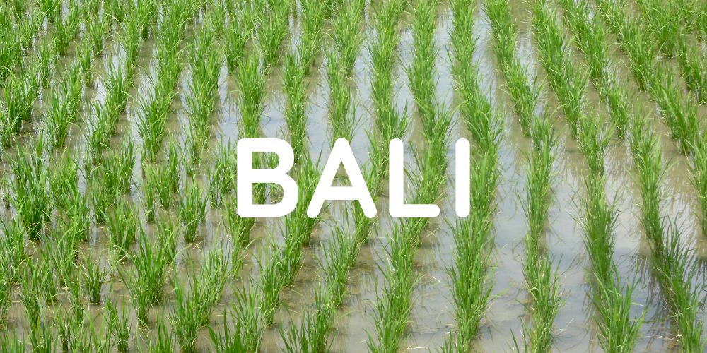 Travel tips Bali