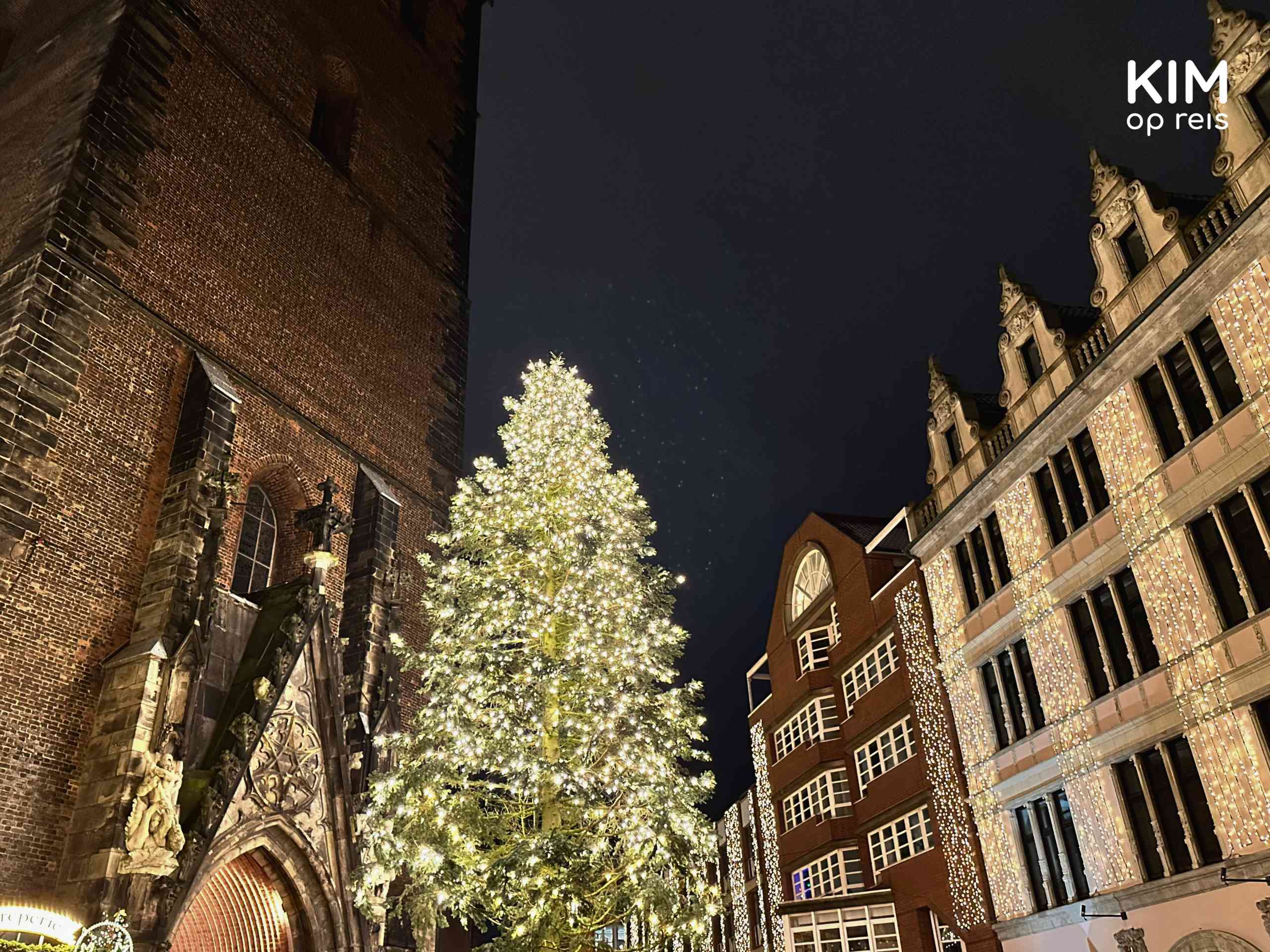 Duitse én Finse kerstmarkt in Hannover Kim op reis